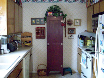 4-2-08-kitchen-resized.jpg