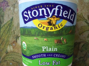 blog-stoneyfield-yogurt-salad-etc-8-24-09-002